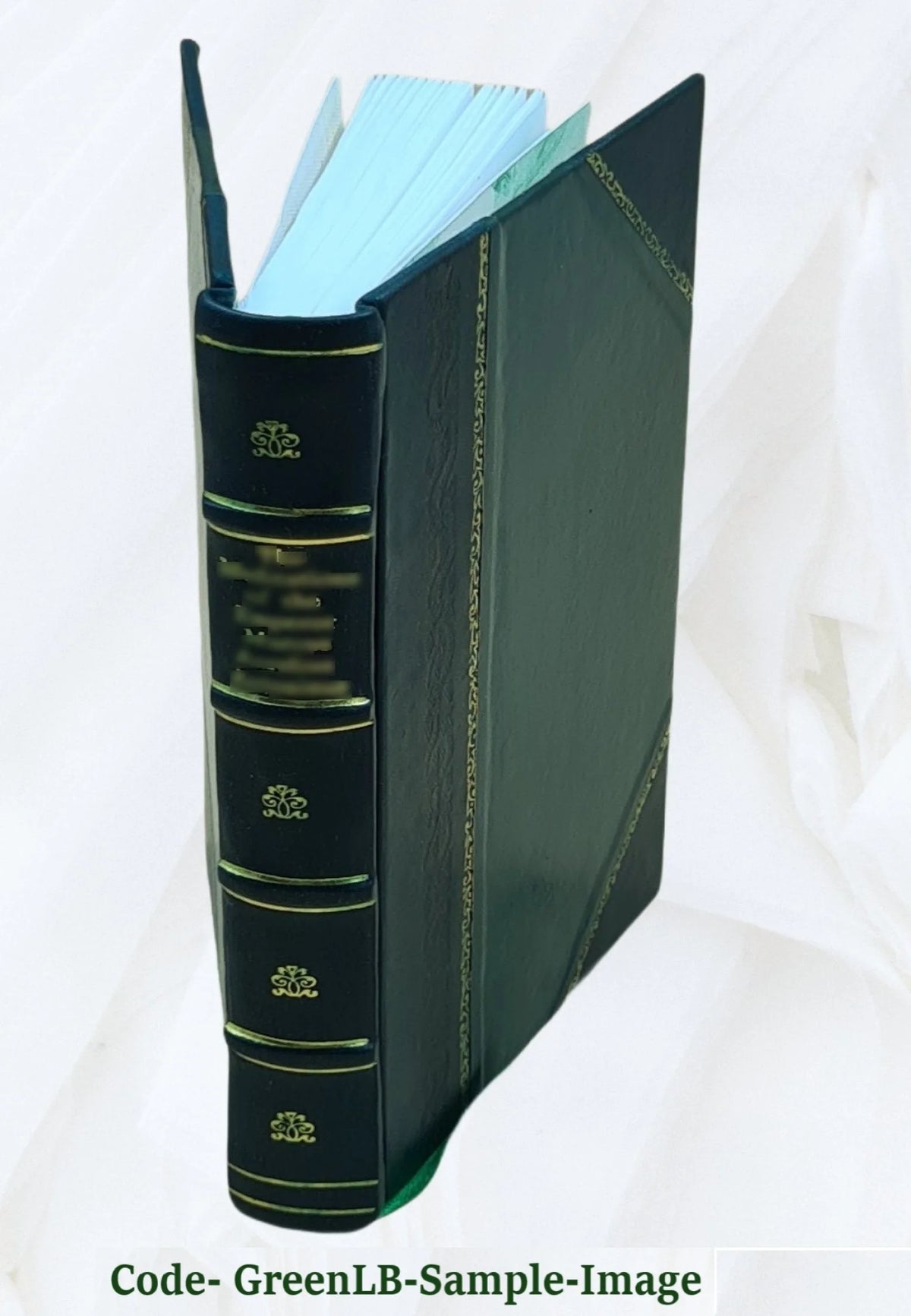 Woods and Lakes of Maine: A Trip from Moosehead Lake to New Brunswick in a Birch-Bark Canoe J33307