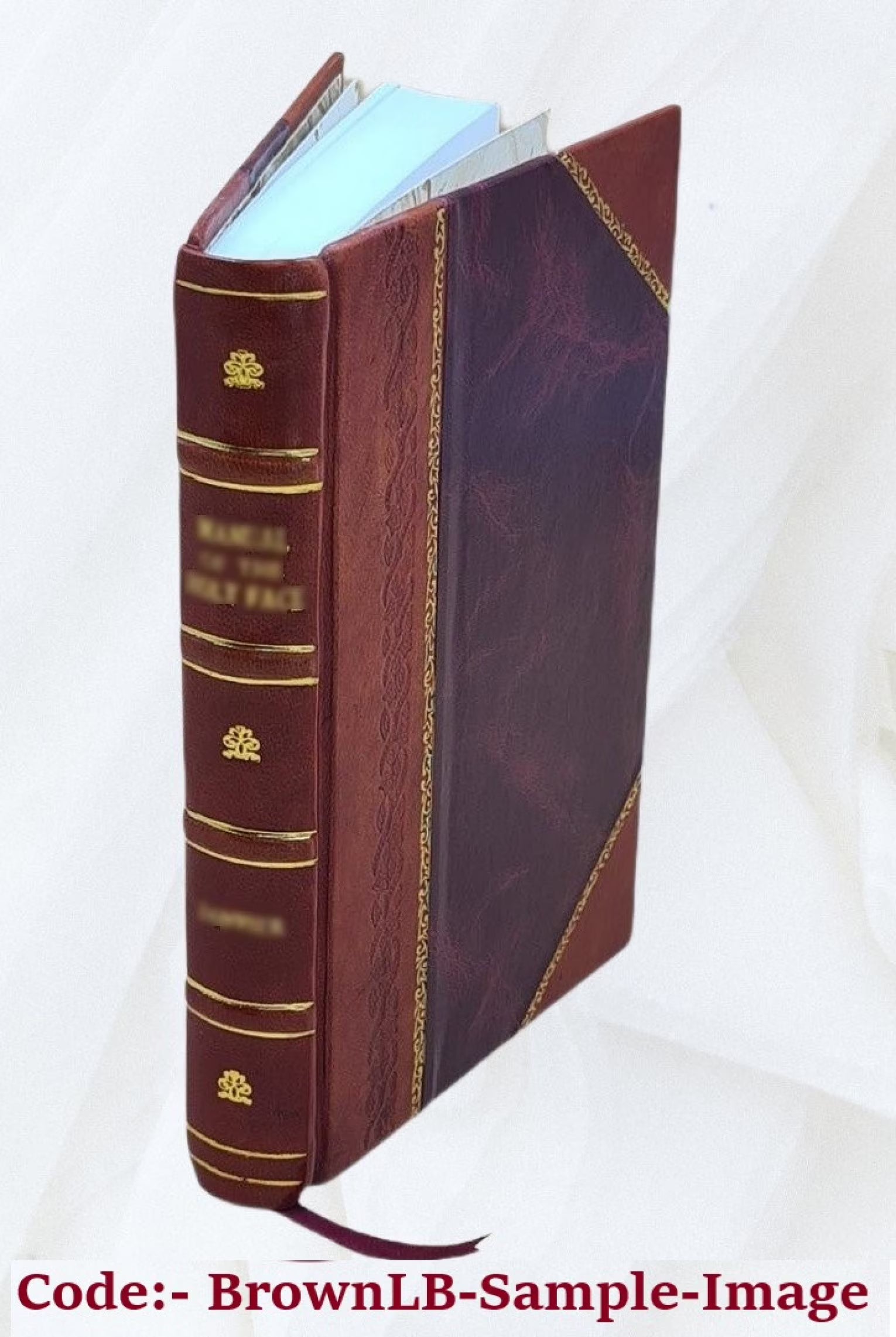 Woods and Lakes of Maine: A Trip from Moosehead Lake to New Brunswick in a Birch-Bark Canoe J33307